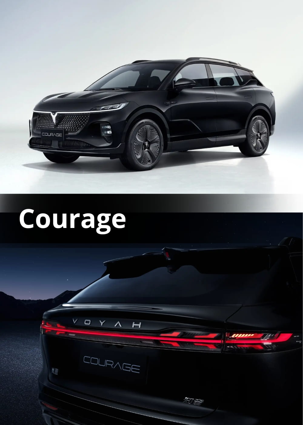 Courage