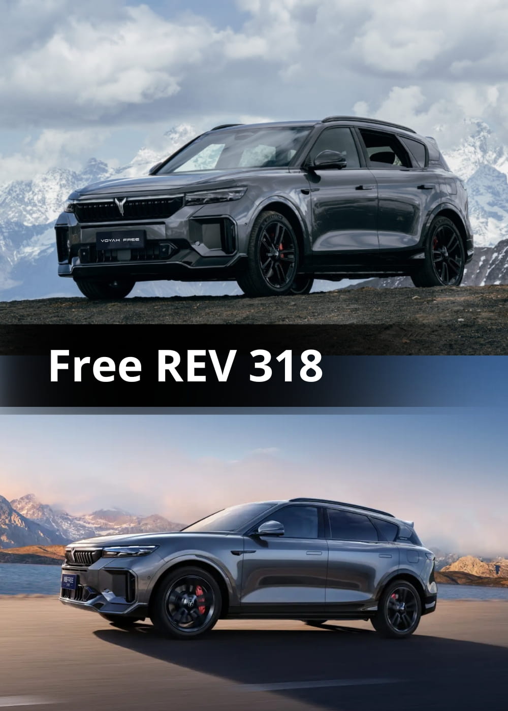 Free REV 318