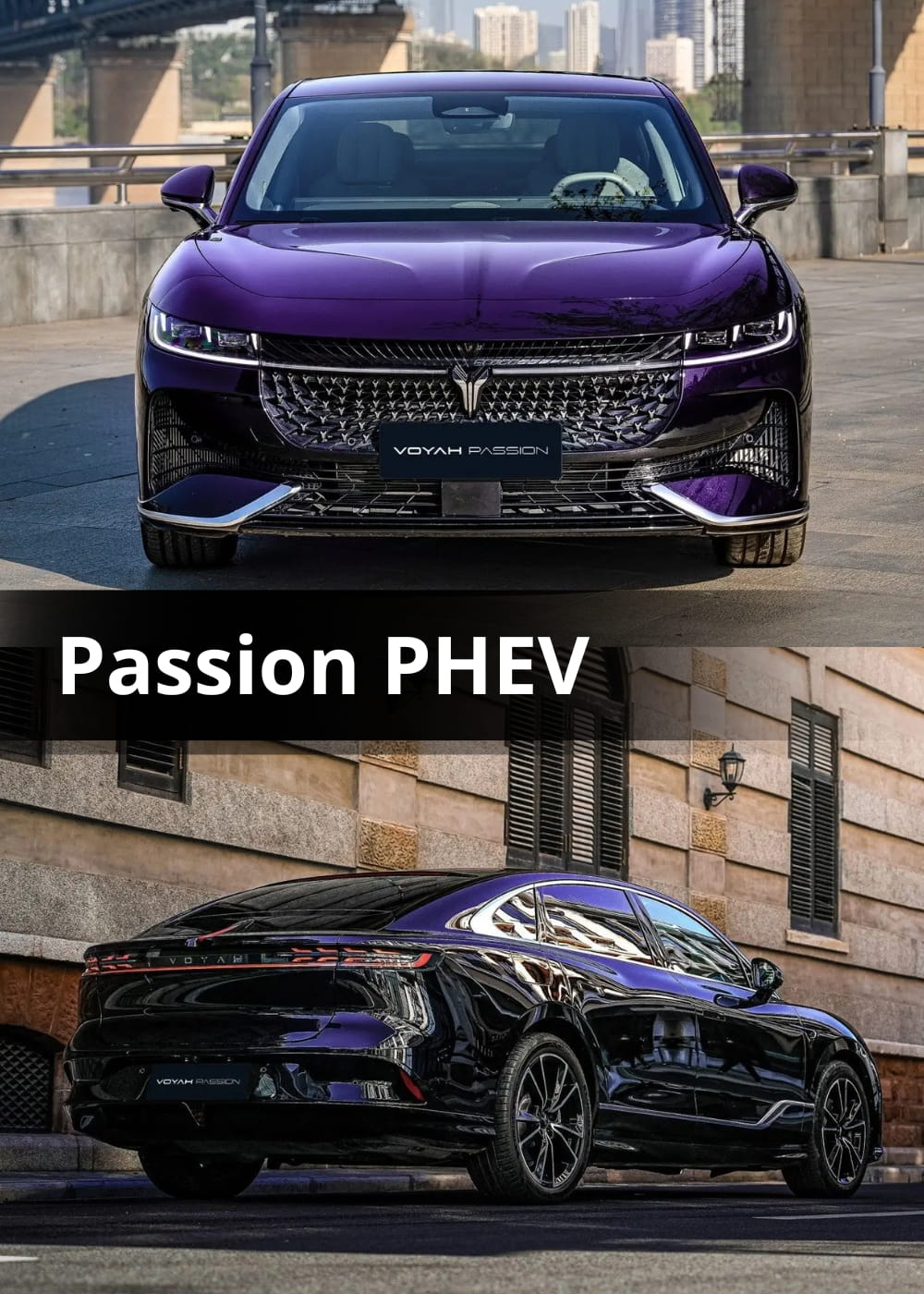 Passion PHEV